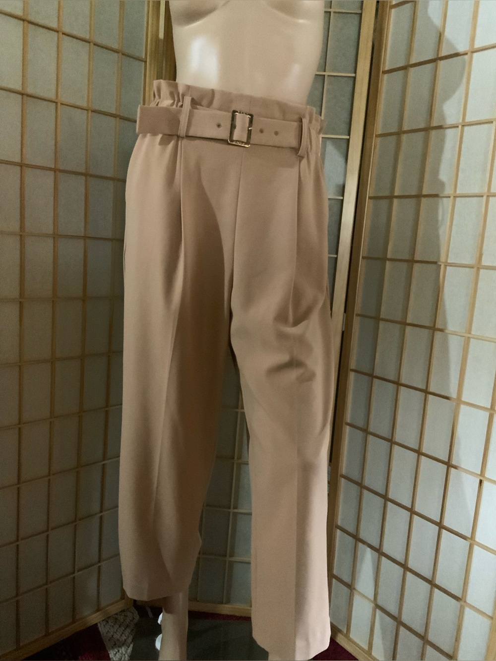 DKNY Taupe Paperbag Waist Chinos with Belt